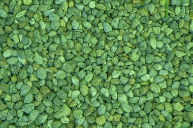 Ultra yeşil taş dokusu, rock yüzey, çakıl arka plan web siteniz veya mobil cihazlar için