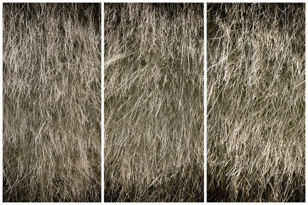 Trockenes Stroh Gras Hintergrund, Heu Textur nach der Ernte — Stockfoto