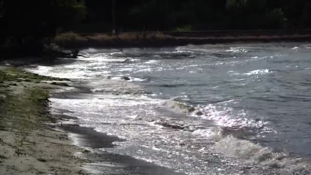 Onda marina, schiumosa fredda e limpida. Fondo naturale di acqua di mare con schiuma. Fantasma classico colore blu. costa artica crepuscolare nei fiordi orientali in Islanda . — Video Stock