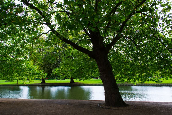 Bela cena do parque no parque público em Bedford com campo de grama verde, planta de árvore verde e vista para o rio Ouse — Fotografia de Stock