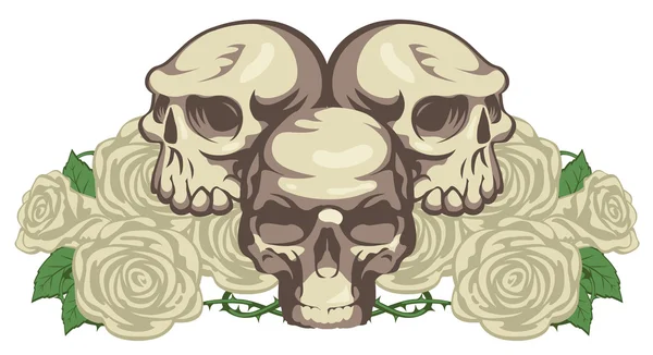 Человеческие черепа и розы — стоковый вектор