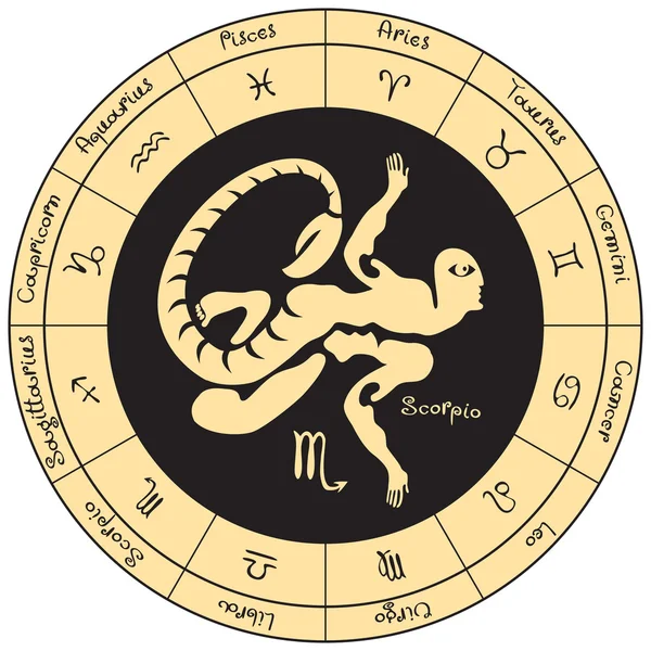 Escorpião com os sinais do zodíaco —  Vetores de Stock