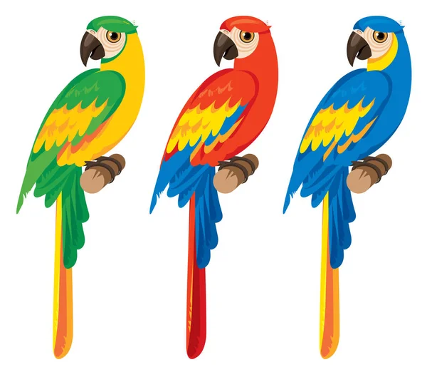 Drie papegaaien, macaws — Stockvector