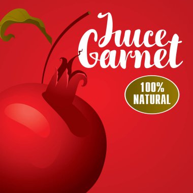 Garnet taze meyve suyu