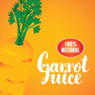 Havuç ile vektör banner