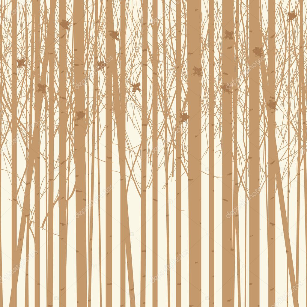 vector background birch trees with birds