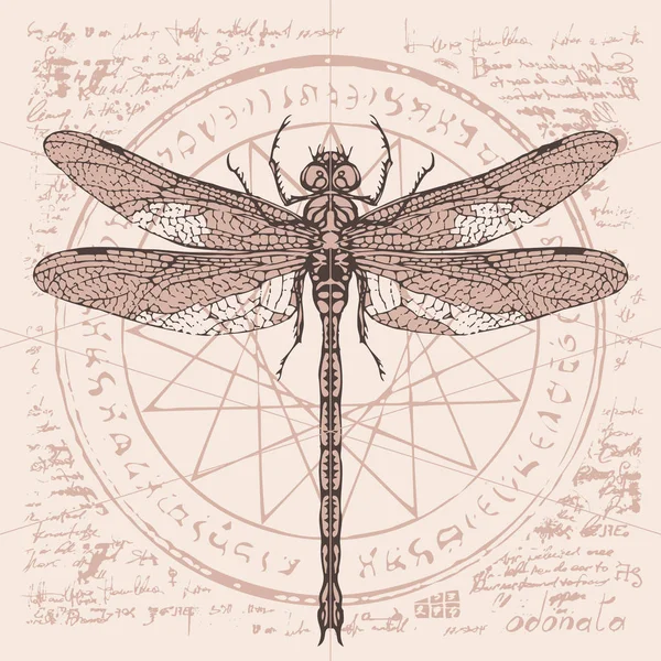 Σχέδιο του dragonfly σε ένα αφηρημένο φόντο — Διανυσματικό Αρχείο