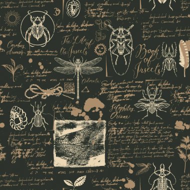 böcekler ile sorunsuz arka plan