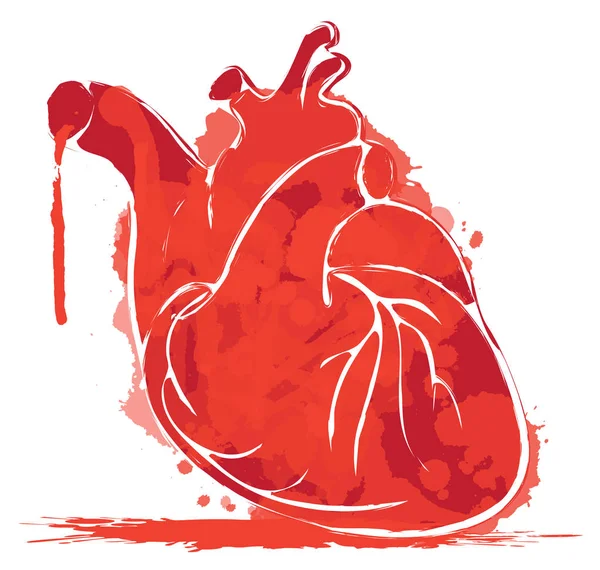 Acuarela corazón humano con salpicaduras de sangre — Vector de stock