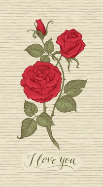 Yazılı vektör tebrik kartı. Seni seviyorum.