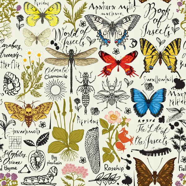 含昆虫和药草的无缝隙的抽象图案 — 图库矢量图片