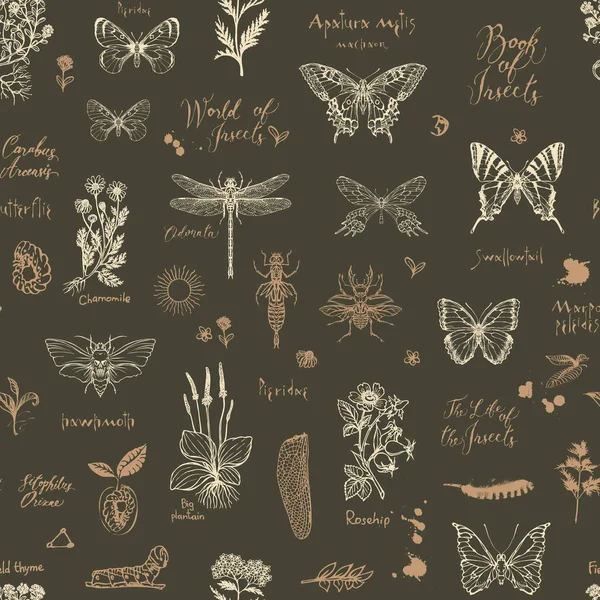 Seamless pattern with sketches of insects and herbs — Stock Vector