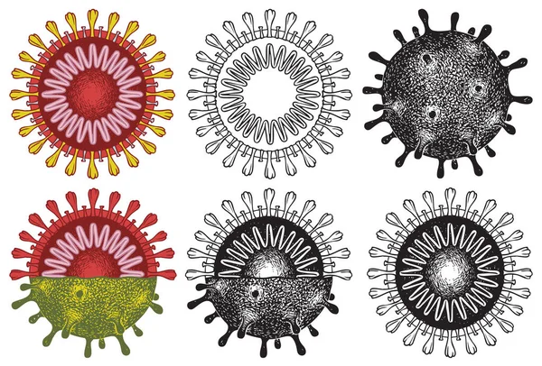 Enine kesitte elle çizilmiş koronavirüs virüsü hücreleri. Virion COVID-19. Koronavirüs salgını, virüsün önlenmesi. Salgın alarmı. Bilim ve tıbbi kullanım için izole çizimler