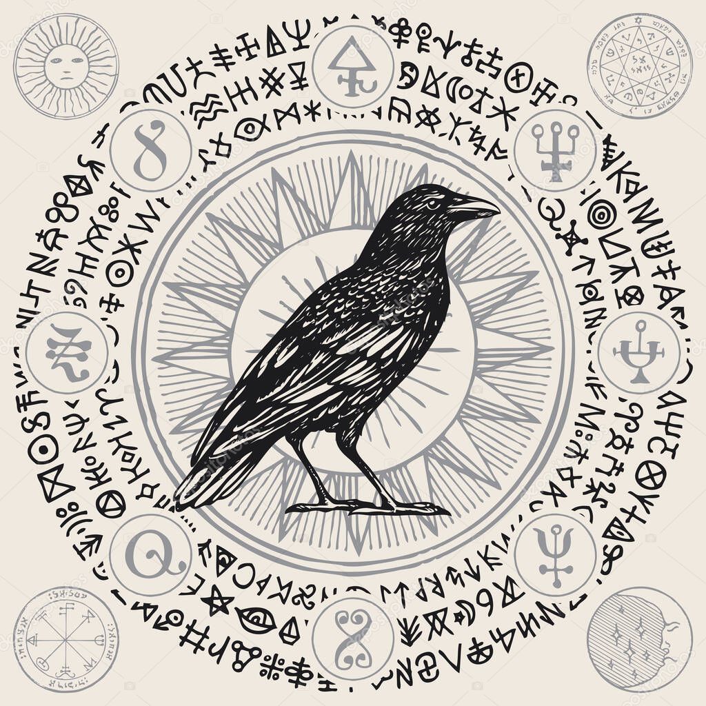 Vector illustration with a wise black Raven or magic Crow in retro style. Hand-drawn banner with magical symbols, occult signs and runes written in a circle