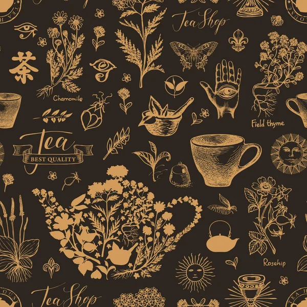 Vektornahtloses Muster Mit Handgezeichneten Heilkräutern Abstrakter Hintergrund Zum Thema Tee — Stockvektor