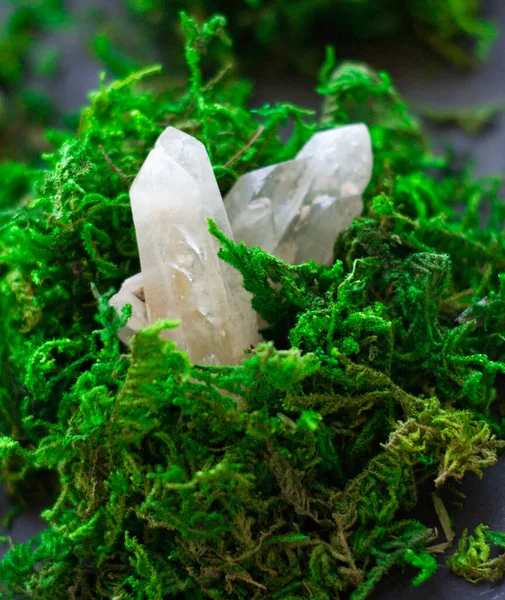 Cristal de cuarzo transparente sobre musgo verde brillante — Foto de Stock