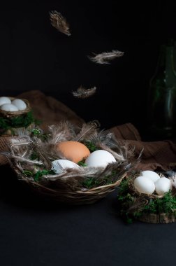 Hasır sepetin içinde yeşil yosun ve siyah arka planda uçan tüylerle dolu bir hayat.