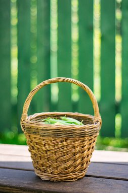 Güneş ışınlarında yeşil bir çitin arka planında hasır bir sepetteki bezelye kabuklarını yakın çekim.