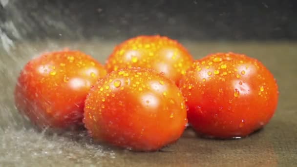 Wasserspritzer Auf Tomate Waschen Der Roten Tomaten Mit Hochgeschwindigkeitskamera — Stockvideo