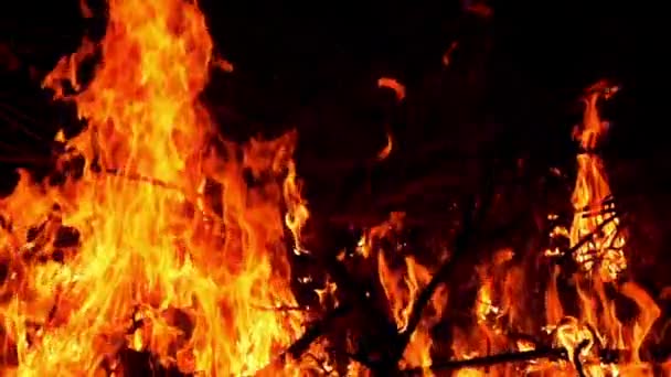 Feuerflamme Brennt Zeitlupe Aufnahmen Mit Hochgeschwindigkeitskamera — Stockvideo