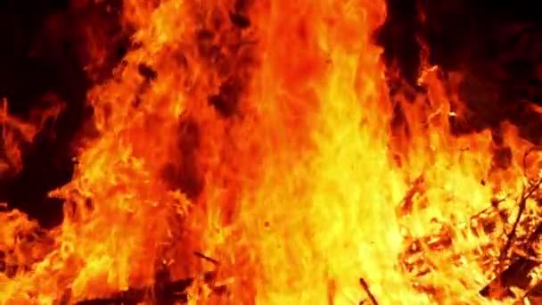 Пожежне Полум Спалювання Повільний Рух Стрільба Високошвидкісною Камерою — стокове відео