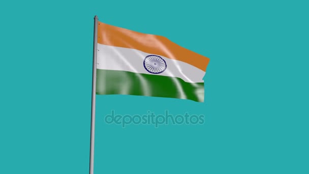 Animație Realistă Foto Steagului Național Indiei Fluturând Vânt Buclă Fără — Videoclip de stoc