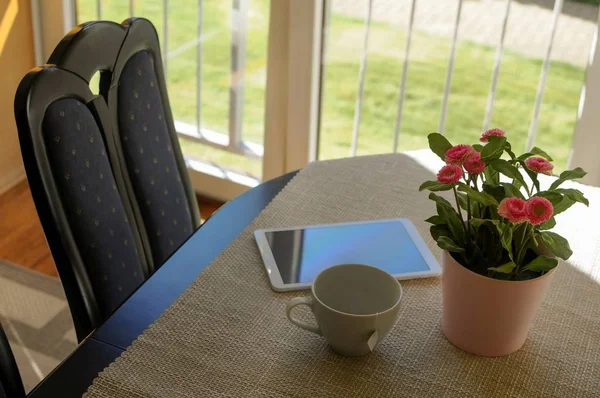 Сніданок і читання на кухні з панорамними вікнами — стокове фото