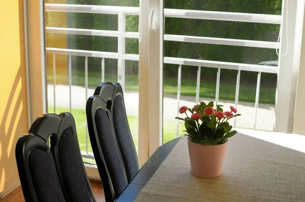 Cozy modern minimalism interior. Flowers pot on the table