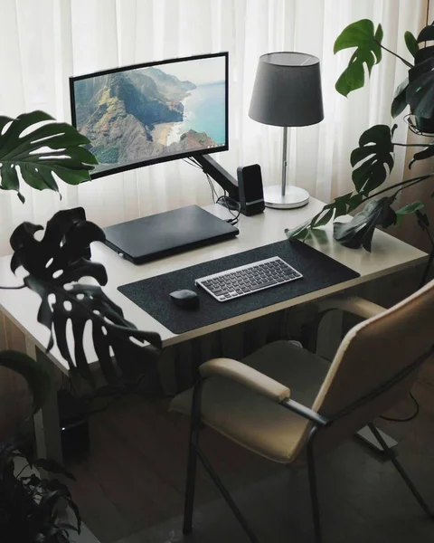 Lugar de trabajo en casa. Estilo minimalista e interior moderno con plantas . —  Fotos de Stock