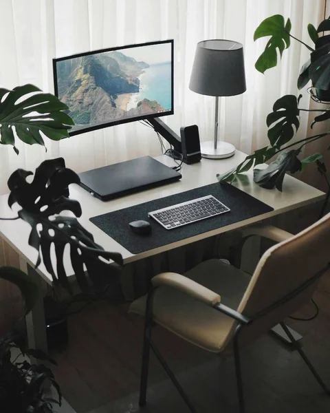 Work place at home. Minimalism style and modern interior inside with plants. — Stock Photo, Image