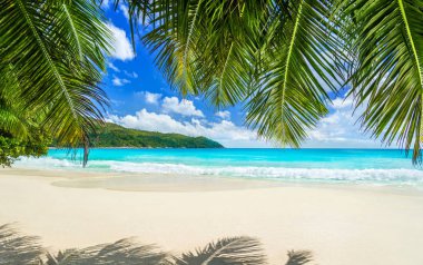 Tropikal plaj Anse Lazio Praslin Adası, Seyşel Adaları'nda. Çoğu olmak