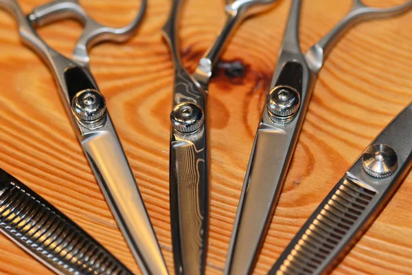 Tesoura de cabeleireiro profissional no fundo de madeira — Fotografia de Stock