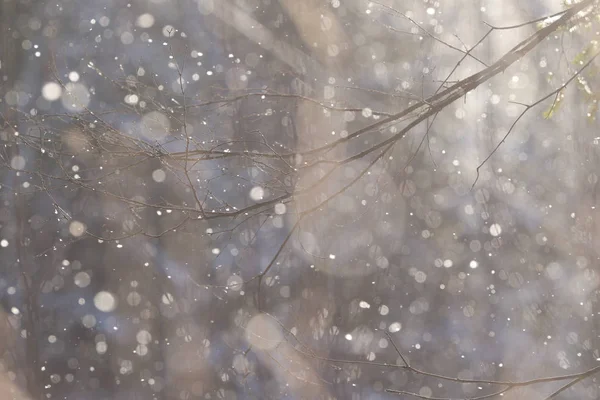 Blured Lumisade Taustavalossa — kuvapankkivalokuva