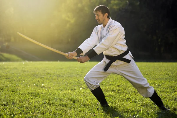 Practicing martial arts — Stock Photo, Image