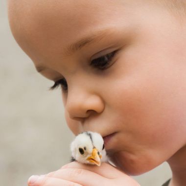 çocuk küçük kuş öpüşme