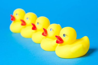 banyo ördekler satırda