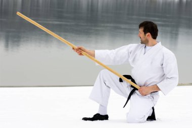 Dövüş sanatları ile bo