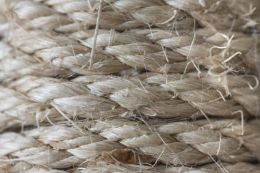 kedi tırmalama direği