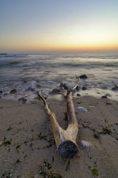 Drivved på stranden, pulserande soluppgång över Svarta havet — Stockfoto