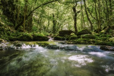 Nehir Mladejka Stranca Milli Park, Bulgaristan, kayalar