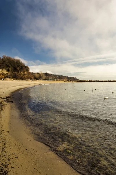 Seascape da baía, com rebanho de cisnes, céu nebuloso e claro w — Fotografia de Stock