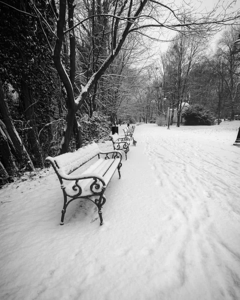 公園のベンチの黒と白 — ストック写真