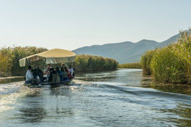 Neretva, Hırvatistan, 30 Eylül 2017: tekne safari neretva Nehri Deltası, mandalina ağacı ve portakal ağacı arasında üzerinde turist ile. geleneksel müzik ve gösteri yapma şarkıcı.