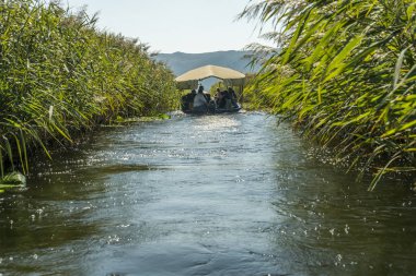 Neretva, Hırvatistan, 30 Eylül 2017: tekne safari neretva Nehri Deltası, mandalina ağacı ve portakal ağacı arasında üzerinde turist ile. geleneksel müzik ve gösteri yapma şarkıcı.