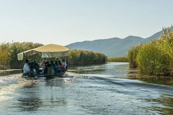 Neretva, Hırvatistan, 30 Eylül 2017: tekne safari neretva Nehri Deltası, mandalina ağacı ve portakal ağacı arasında üzerinde turist ile. geleneksel müzik ve gösteri yapma şarkıcı.