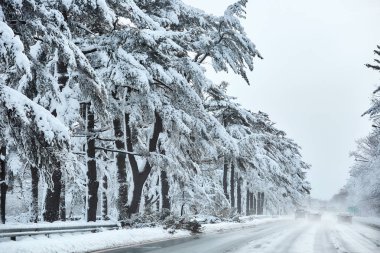 Kar fırtınası doğa güzellik sonra seyir kış fairytale