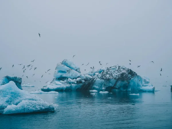 Glacier ice — Stock Photo, Image