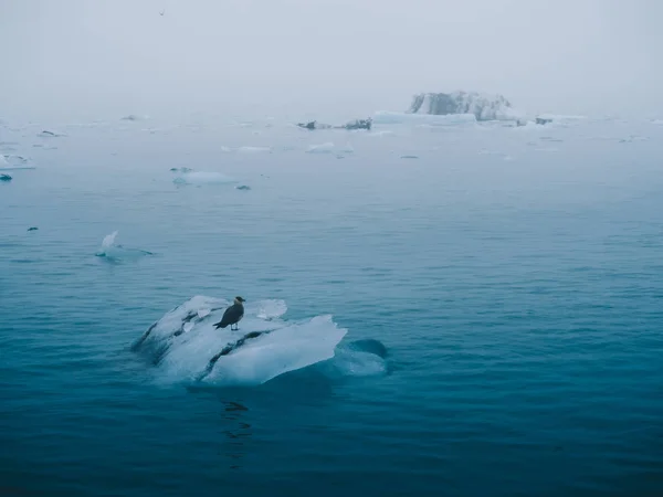 Islandia — Zdjęcie stockowe