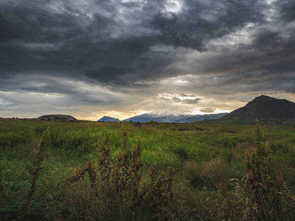 северный пейзаж с зеленым лугом и горами, Исландия
