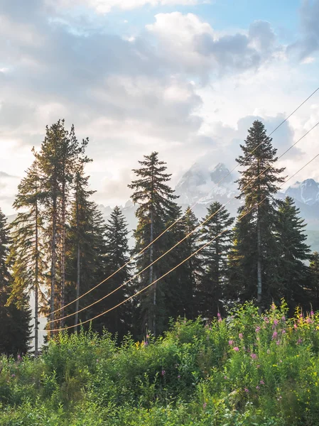 Elektrických vodičů — Stock fotografie